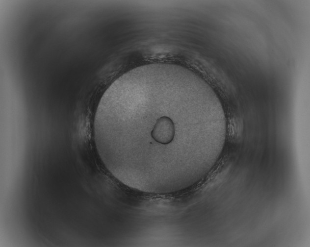 X0000102360820200808011450
