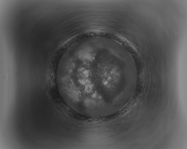 X0000102360822200808011450