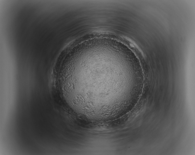 X0000102360823200808011450