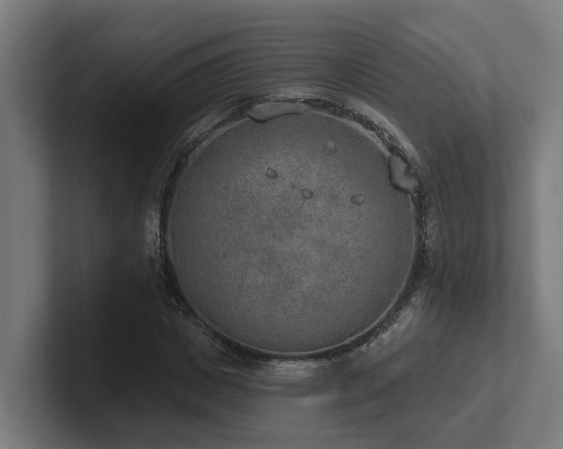 X0000102360825200808011450