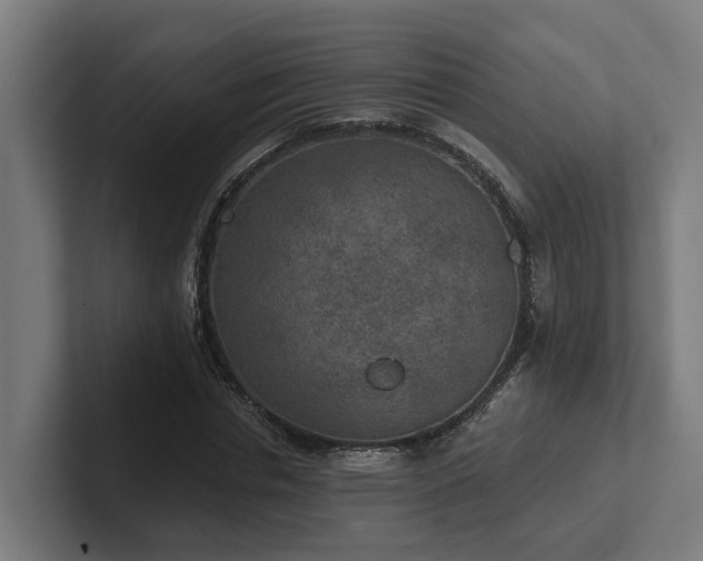 X0000102360826200808011450