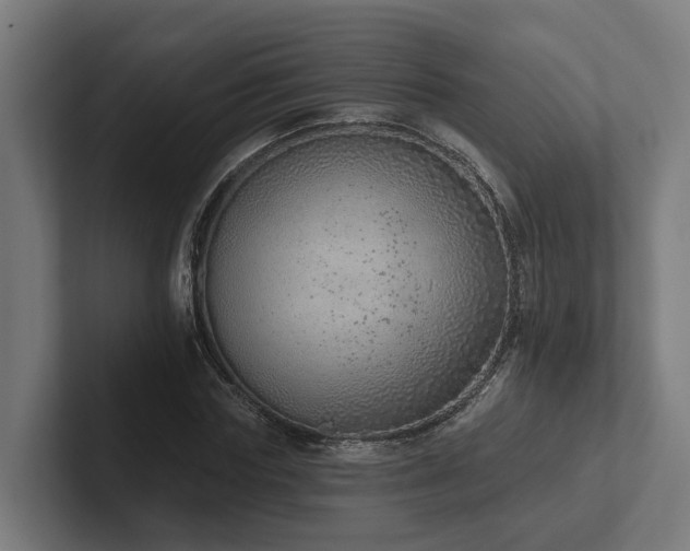 X0000102360827200808011450