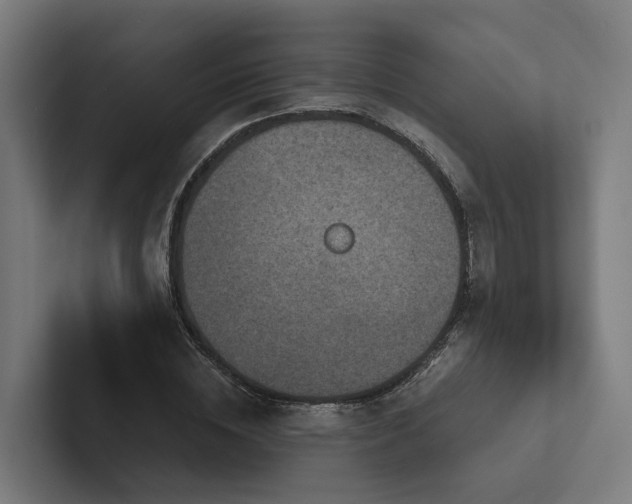 X0000102360828200808011450