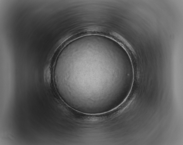 X0000102360829200808011450
