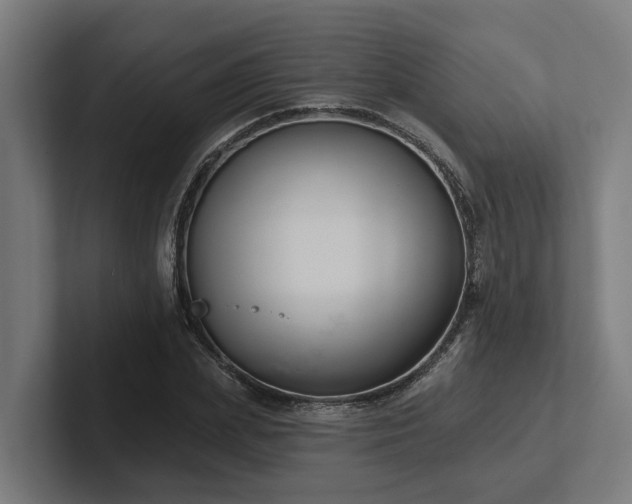 X0000102360831200808011450