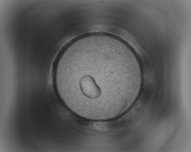 X0000102360832200808011450