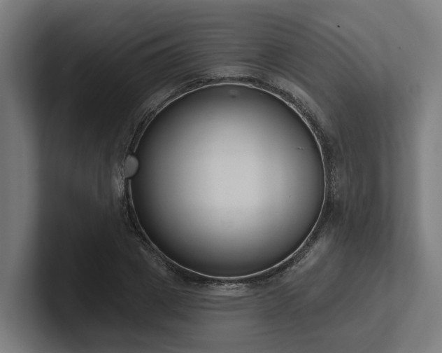 X0000102360833200808011451