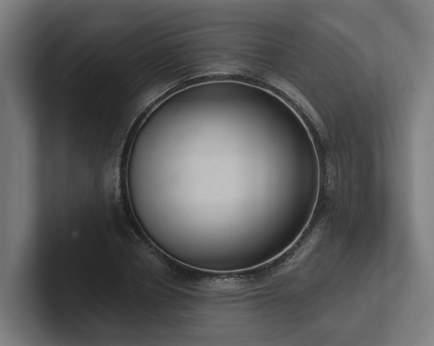 X0000102360834200808011451