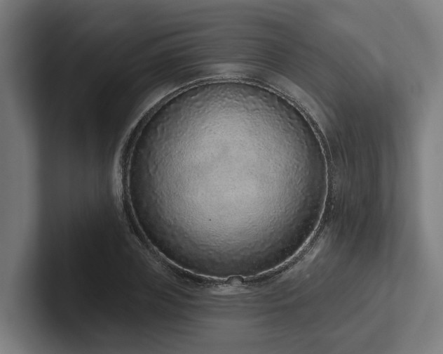 X0000102360835200808011451