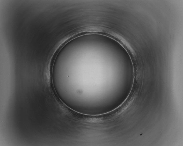 X0000102360837200808011451