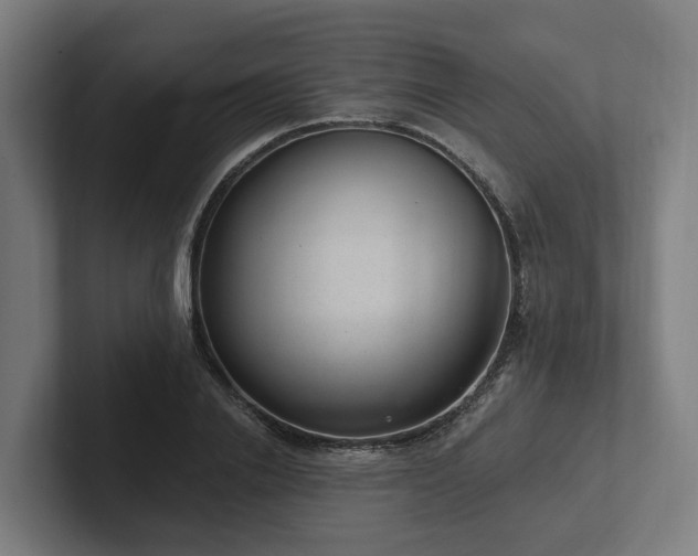 X0000102360838200808011451