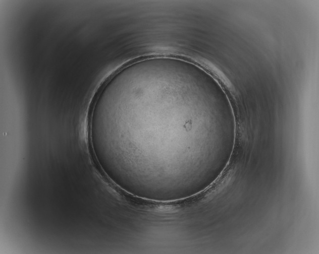 X0000102360839200808011451