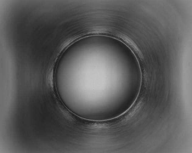 X0000102360842200808011451