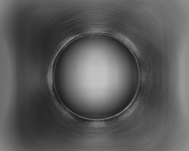 X0000102360844200808011451