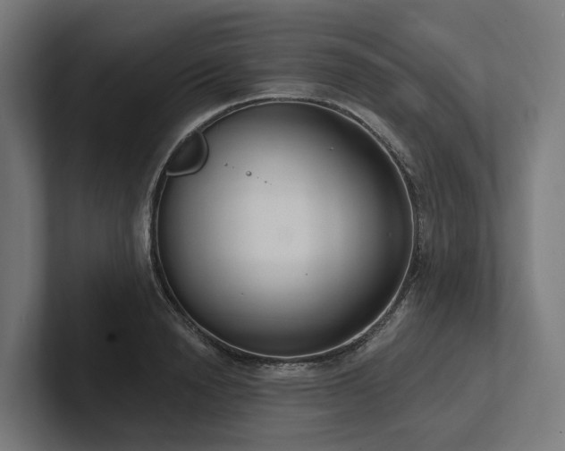 X0000102360846200808011451