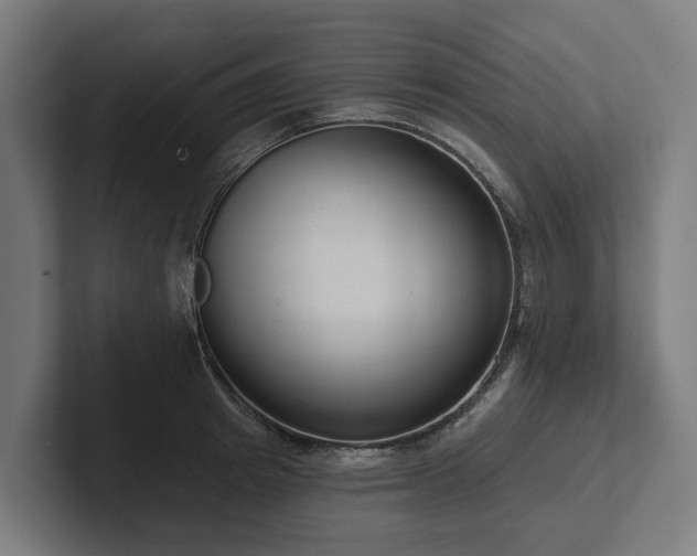 X0000102360849200808011451