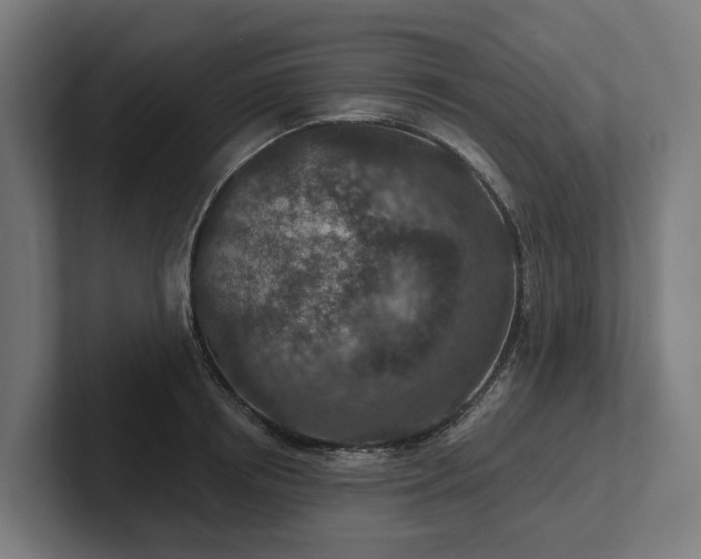 X0000102360850200808011451