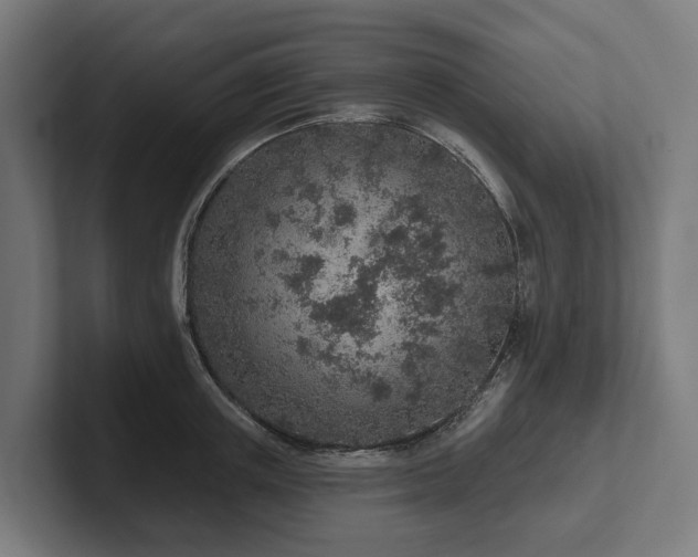 X0000102360851200808011451