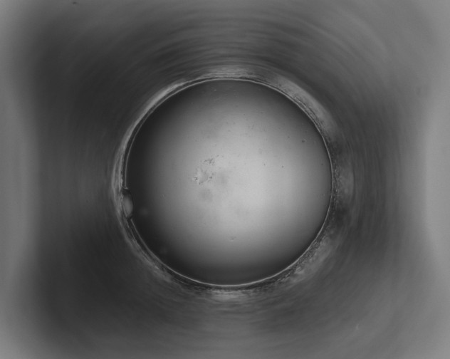 X0000102360852200808011451
