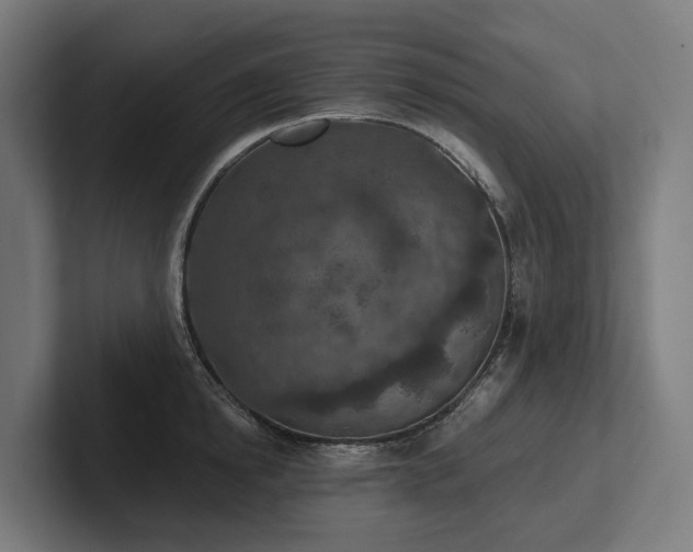X0000102360854200808011451