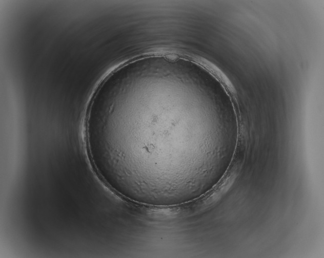X0000102360855200808011451