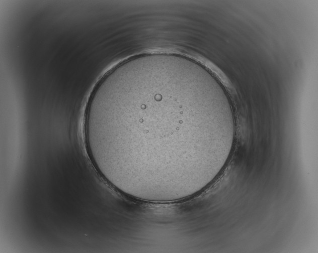 X0000102360856200808011451