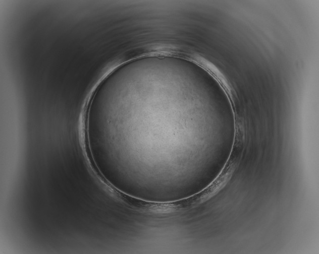 X0000102360859200808011451