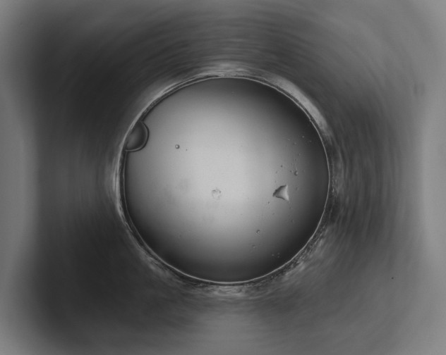 X0000102360861200808011451