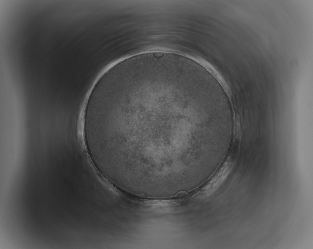 X0000102360862200808011451
