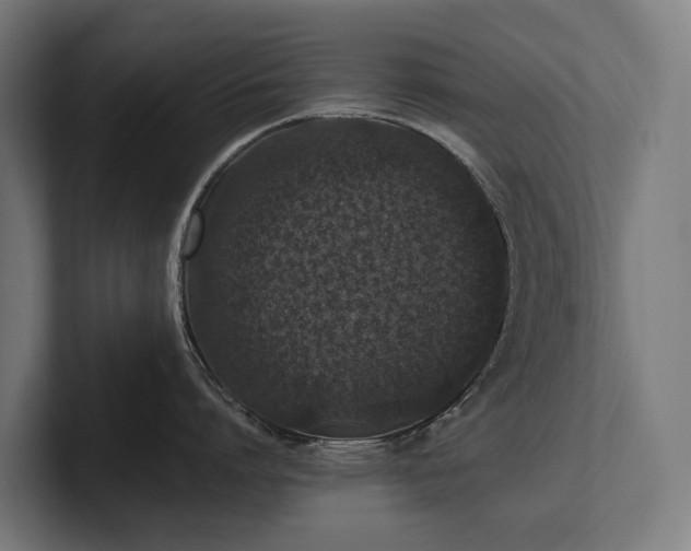 X0000102360864200808011451