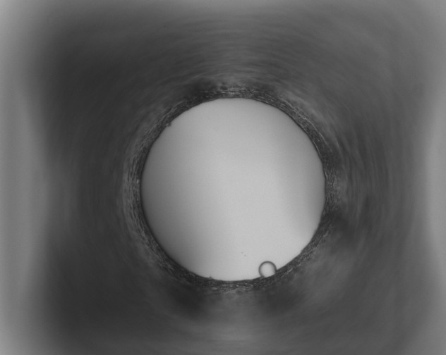 X0000102360865200808011450