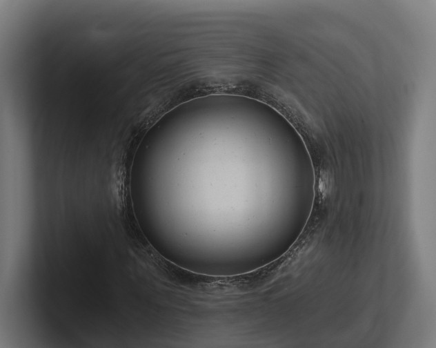 X0000102360867200808011450