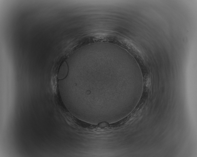 X0000102360868200808011450