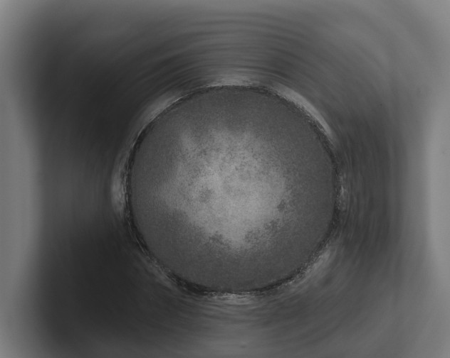 X0000102360874200808011450