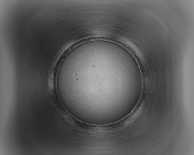 X0000102360875200808011450