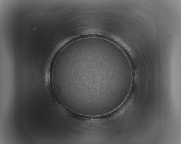 X0000102360877200808011450