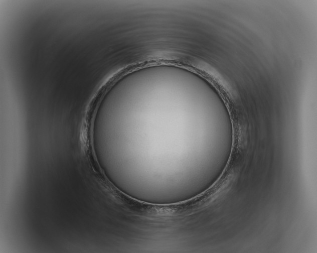 X0000102360878200808011450