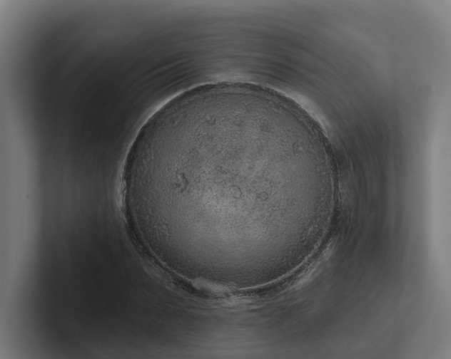 X0000102360879200808011450