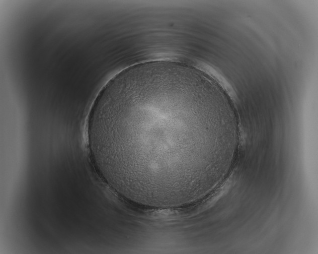 X0000102360883200808011450