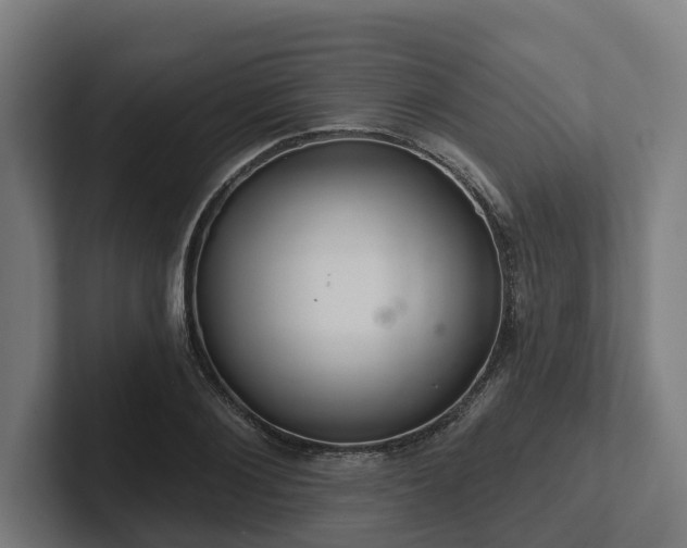 X0000102360884200808011450