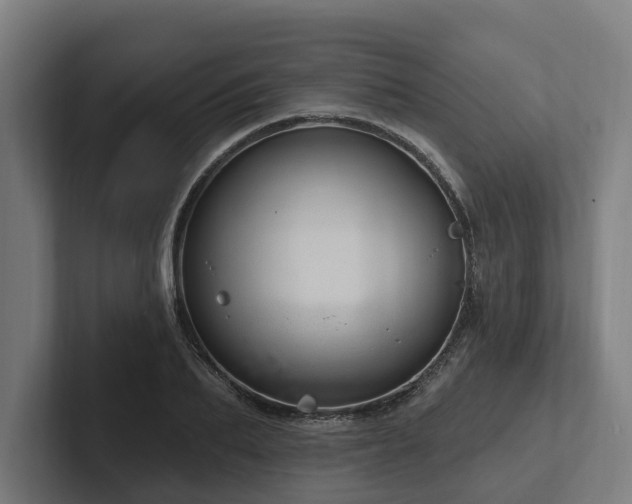 X0000102360887200808011450