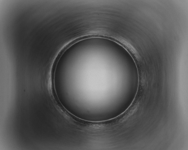 X0000102360888200808011450