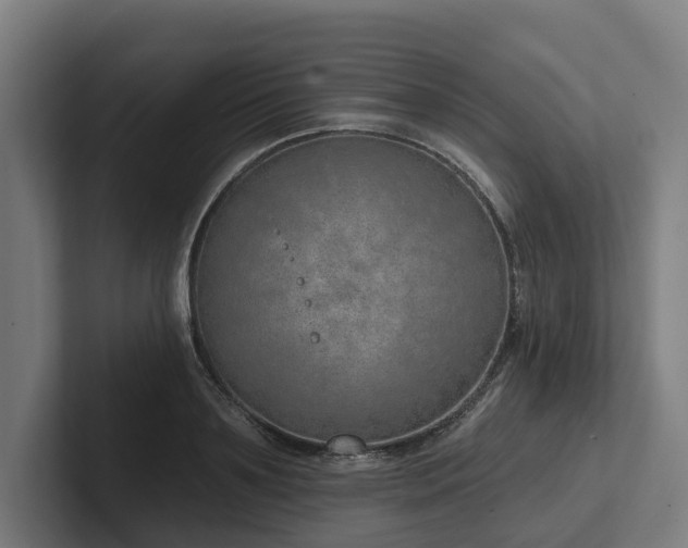 X0000102360891200808011450