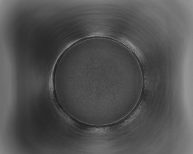 X0000102360892200808011450
