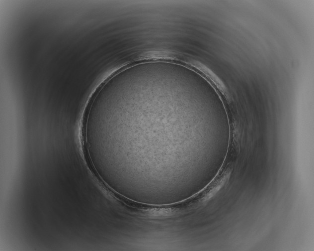 X0000102360893200808011450