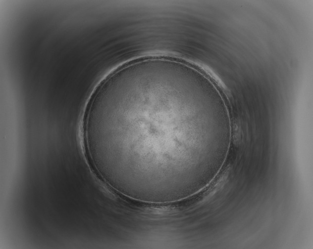 X0000102360895200808011450