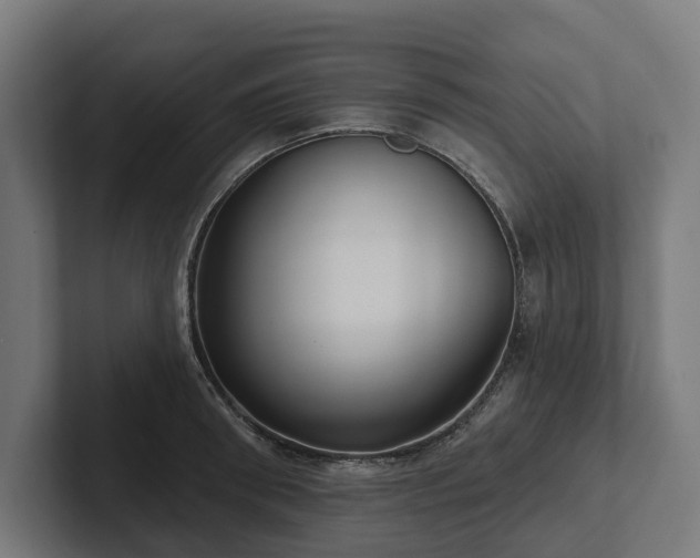 X0000102360898200808011450
