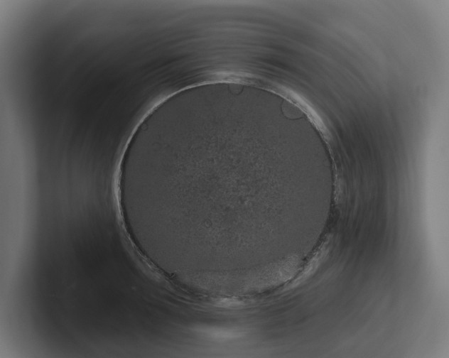 X0000102360899200808011450