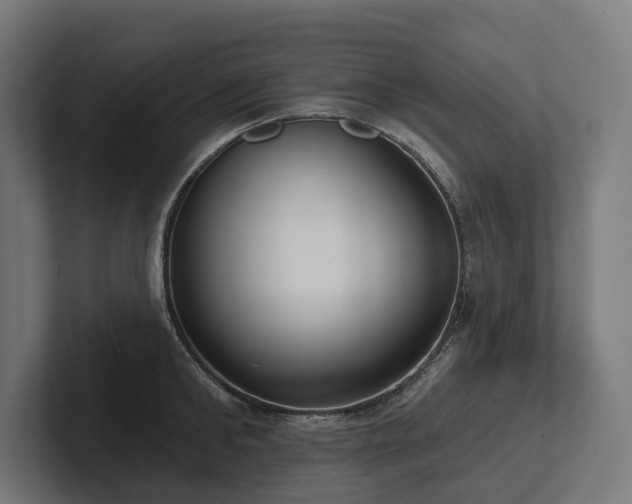 X0000102360902200808011450