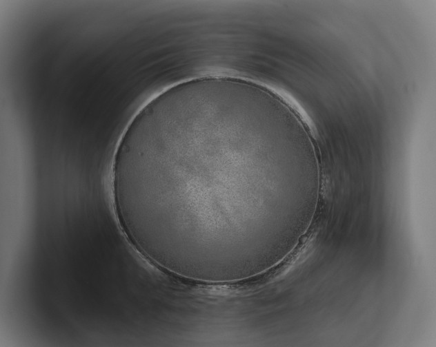 X0000102360903200808011450